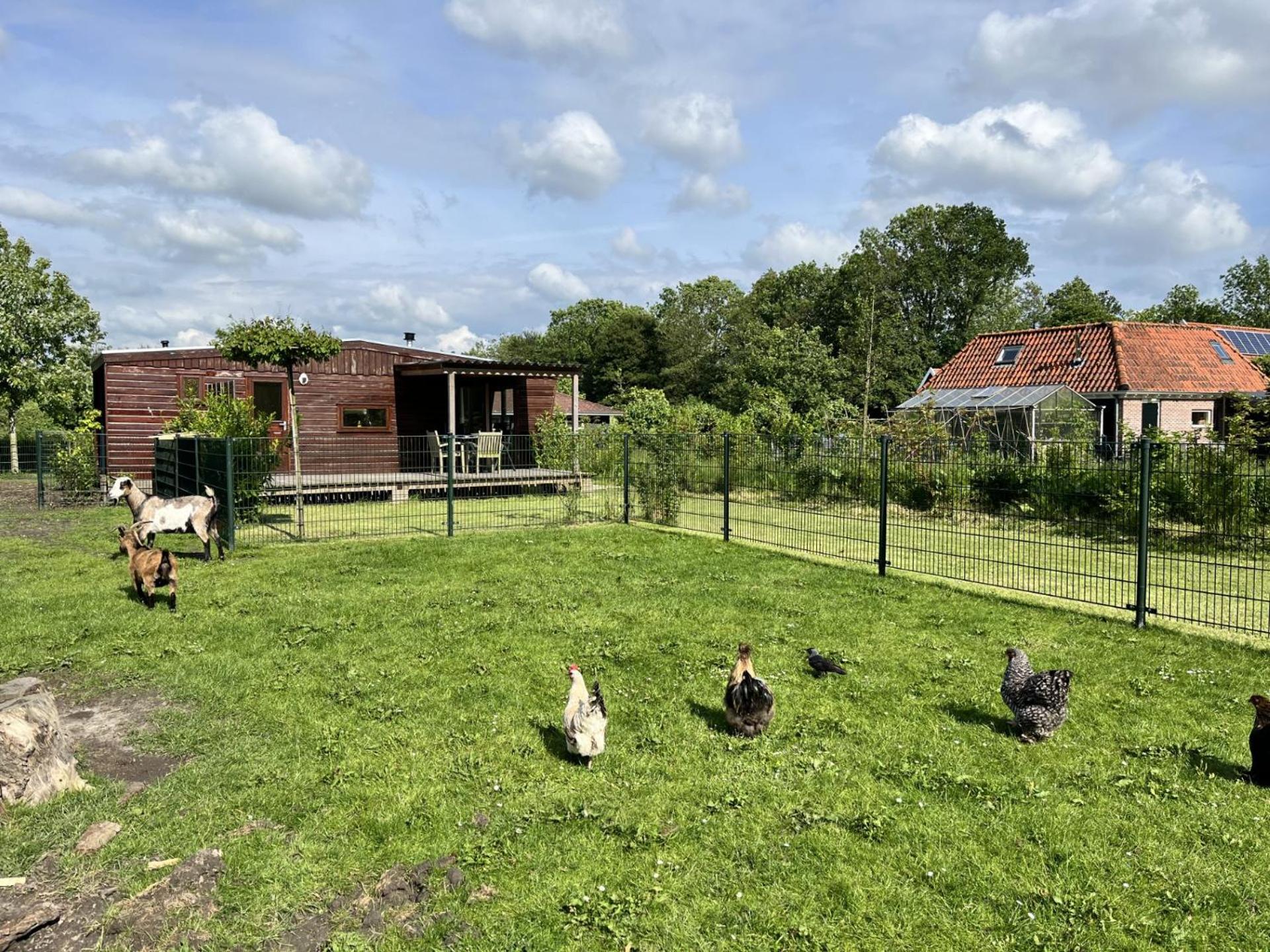 Vrijstaand Chalet Met Veel Buitenruimte En Veranda Zuid-Scharwoude Екстериор снимка